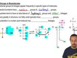 Functional Groups Linkages Study Prep In Pearson