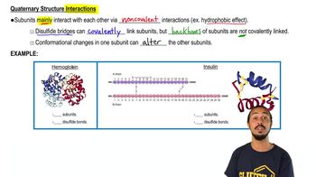 Quaternary Structure Video Tutorial Practice Pearson Channels - Premium Nature Illustration Gallery - High Resolution