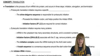 Genetics Video Tutorial Practice Channels For Pearson - Premium Light Wallpaper Gallery - High Resolution