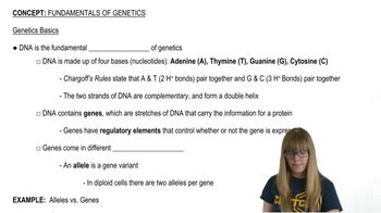 Biol103 Genetics Tutorial 2017 Biol103 Genetics Tutorials 1 Studocu - Premium Light Background Gallery - Retina