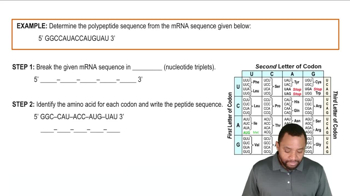 Genetic Code Channels For Pearson - Minimal Backgrounds - Elegant 8K Collection
