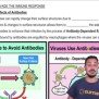 3) Viruses Avoid The Effects Of Antibodies | Channels For Pearson+