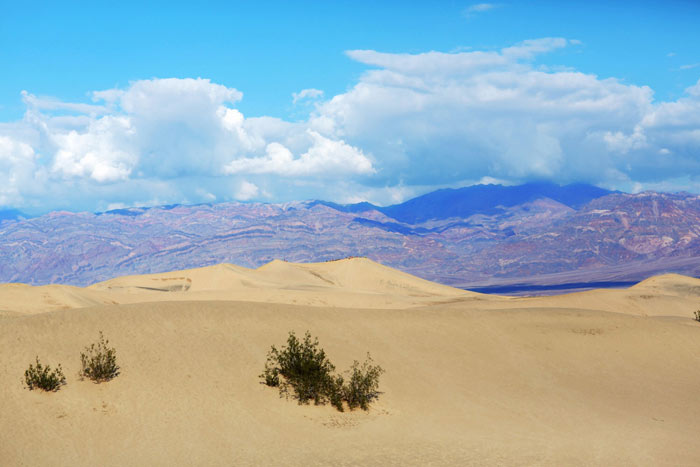 AndyTorresSandDunes10