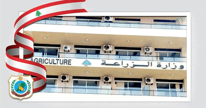 وزارة الزراعة وزعت تقريرها الاسبوعي رقم 2 حول إجراءات الاستجابة للحد من انتشار الحمى القلاعية في لبنان