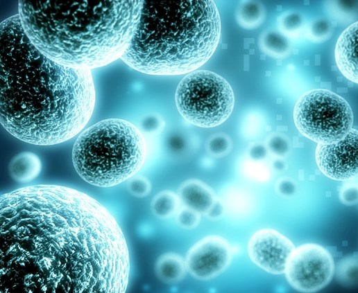 علماء ينجحون في إعادة برمجة خلايا عادية لتحويلها إلى مقاتلات للأمراض