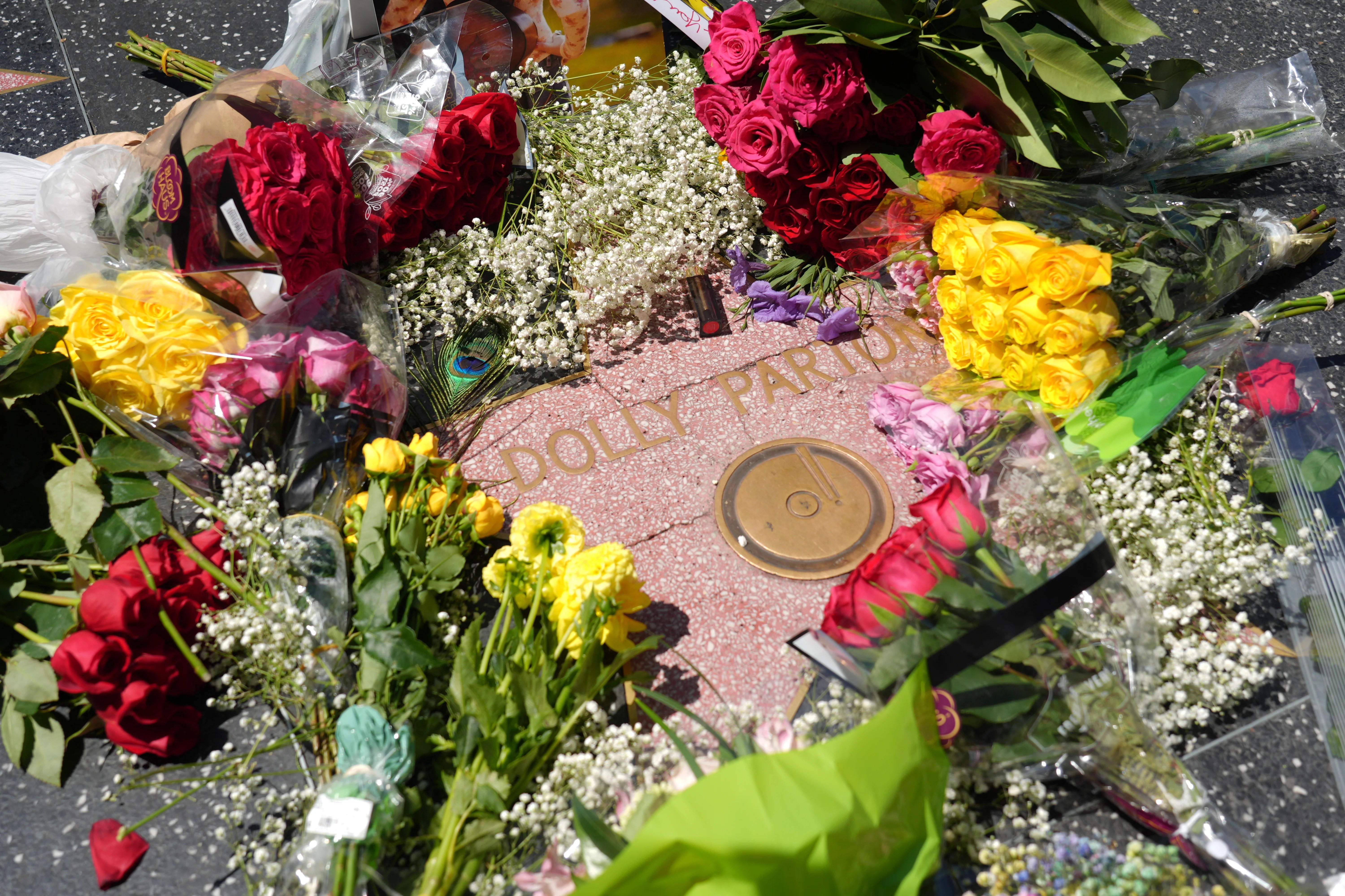 Dolly Parton's Hollywood Star Vandalized After Death | Repairs Underway (2026)