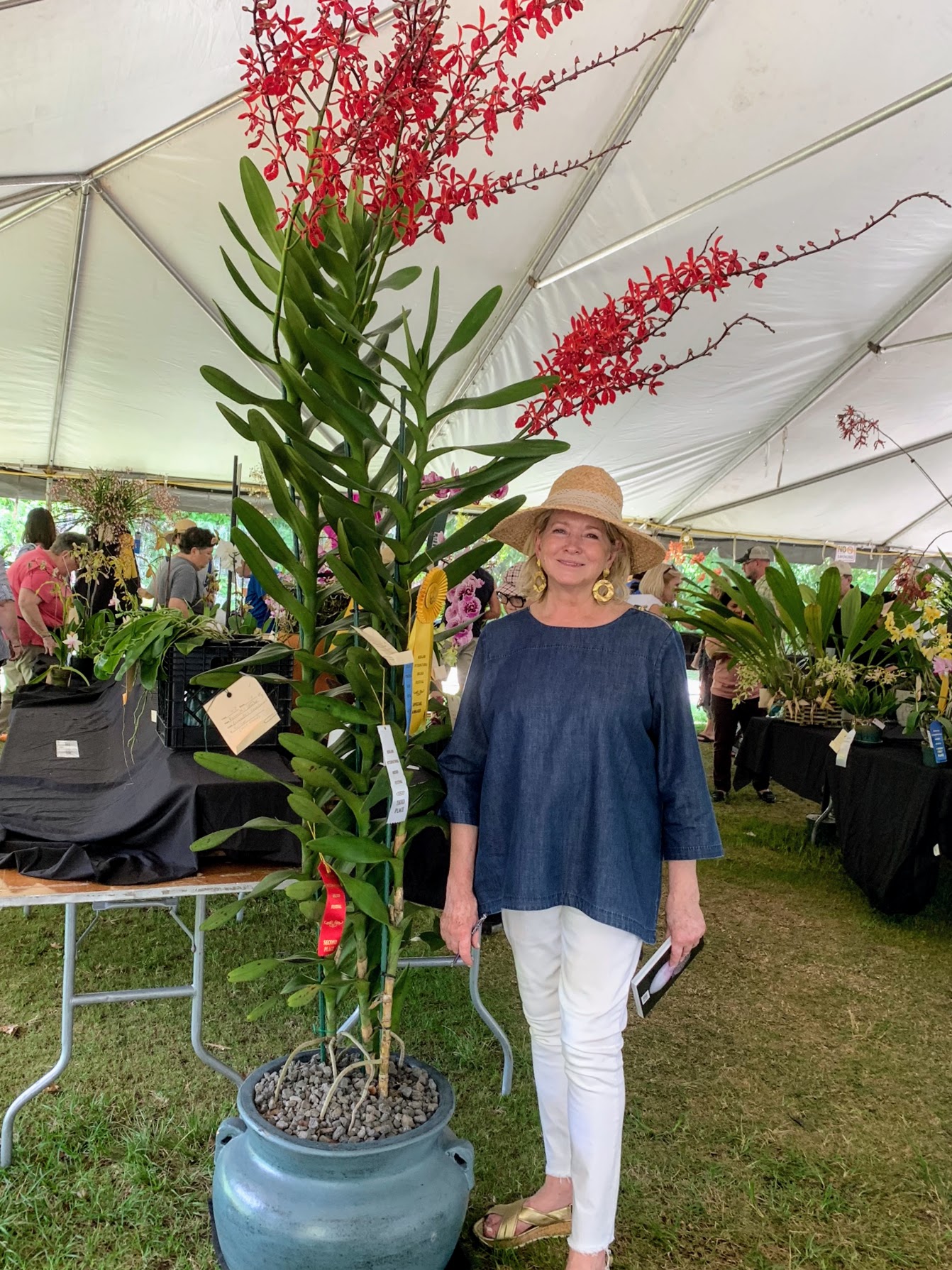 I'm stefan and i'm from germany. A Busy Day In Florida The Martha Stewart Blog