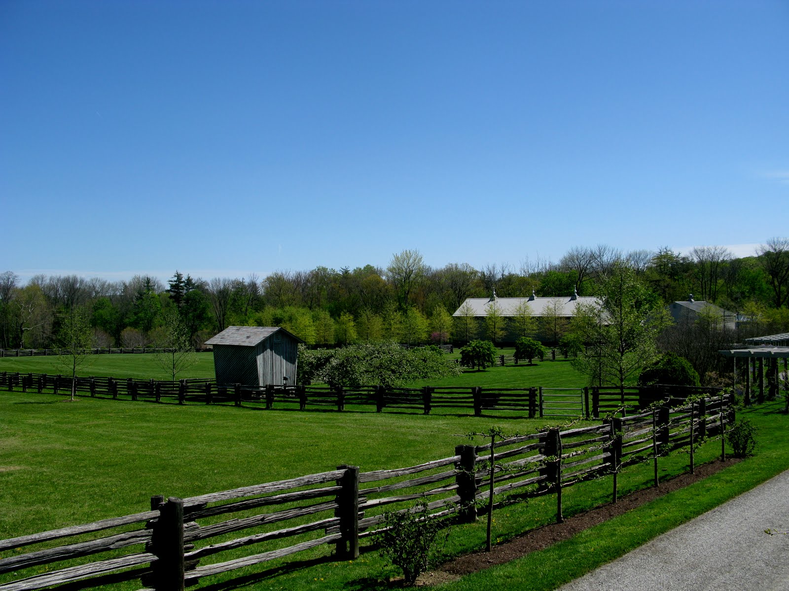 Trees Of Central Texas Vines Robert A 9780292780583 Amazon Com Books