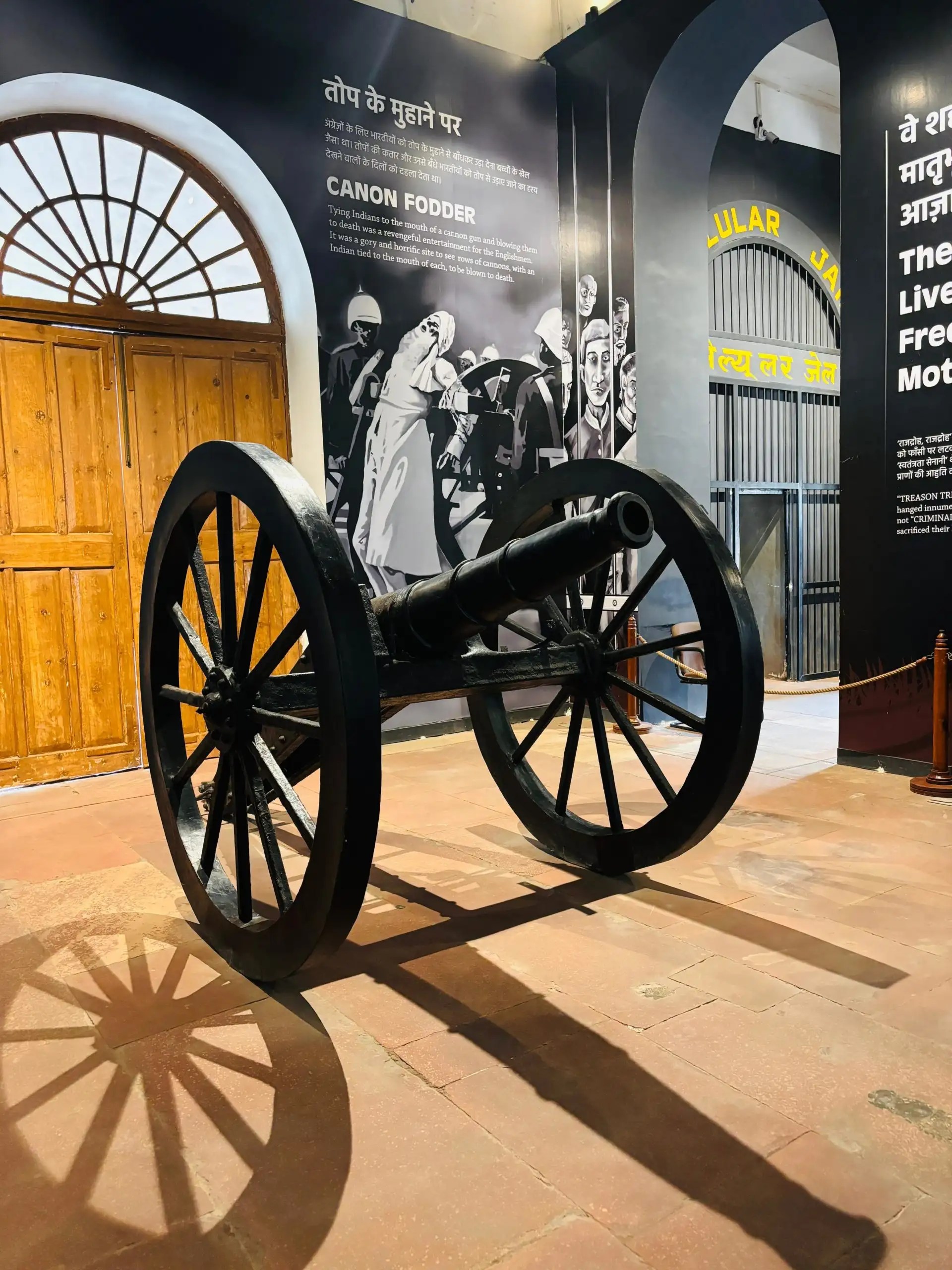 When saffron stood for freedom: How Sadhu-Sanyasis challenged the British Raj When saffron stood for freedom: How Sadhu-Sanyasis challenged the British Raj