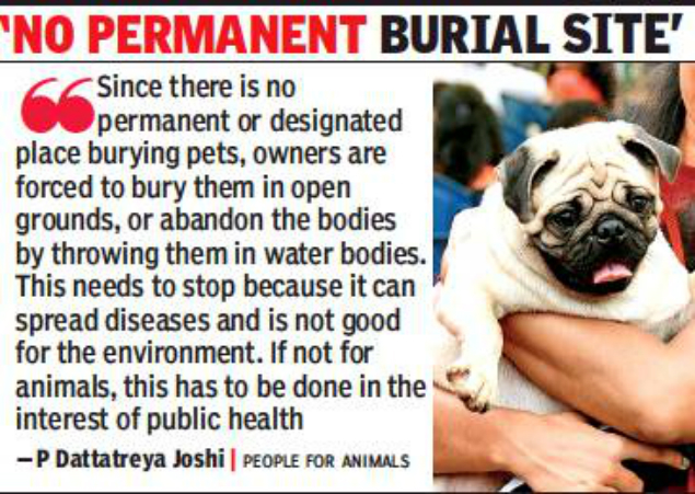Cremation For Animals Near Me Oleh Oleh Banten