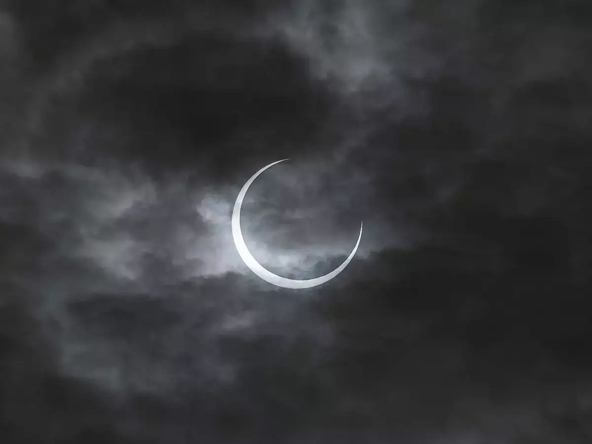 Lunar Eclipse 2024: How does Lunar Eclipse affect wildlife | The Times of India