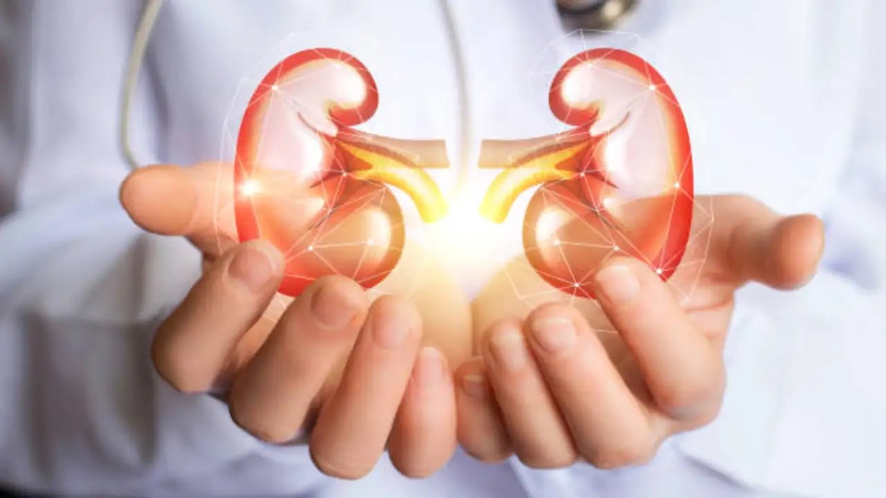Kidney Disease: Silent Killer Affecting 800 Million - Early Signs & Prevention Tips (2025)