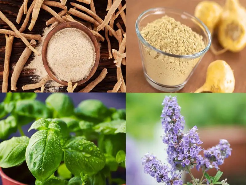 9 Foods That Help Balance Your Hormones The Times Of India