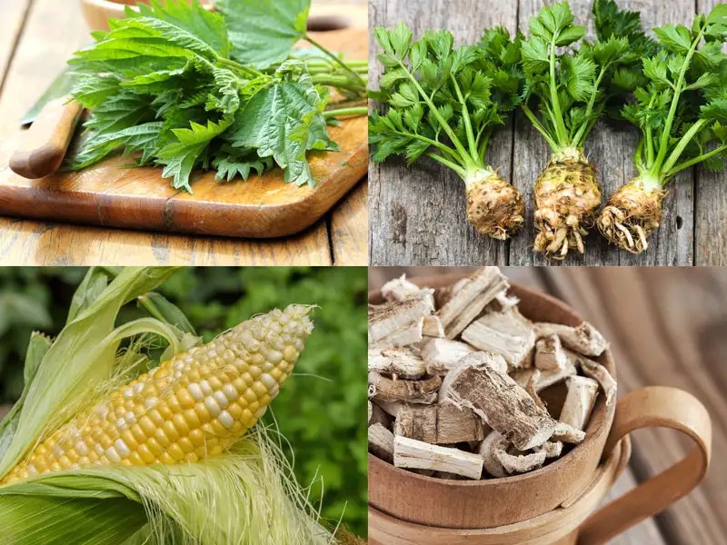 10 Natural Ways To Cleanse Your Kidneys The Times Of India