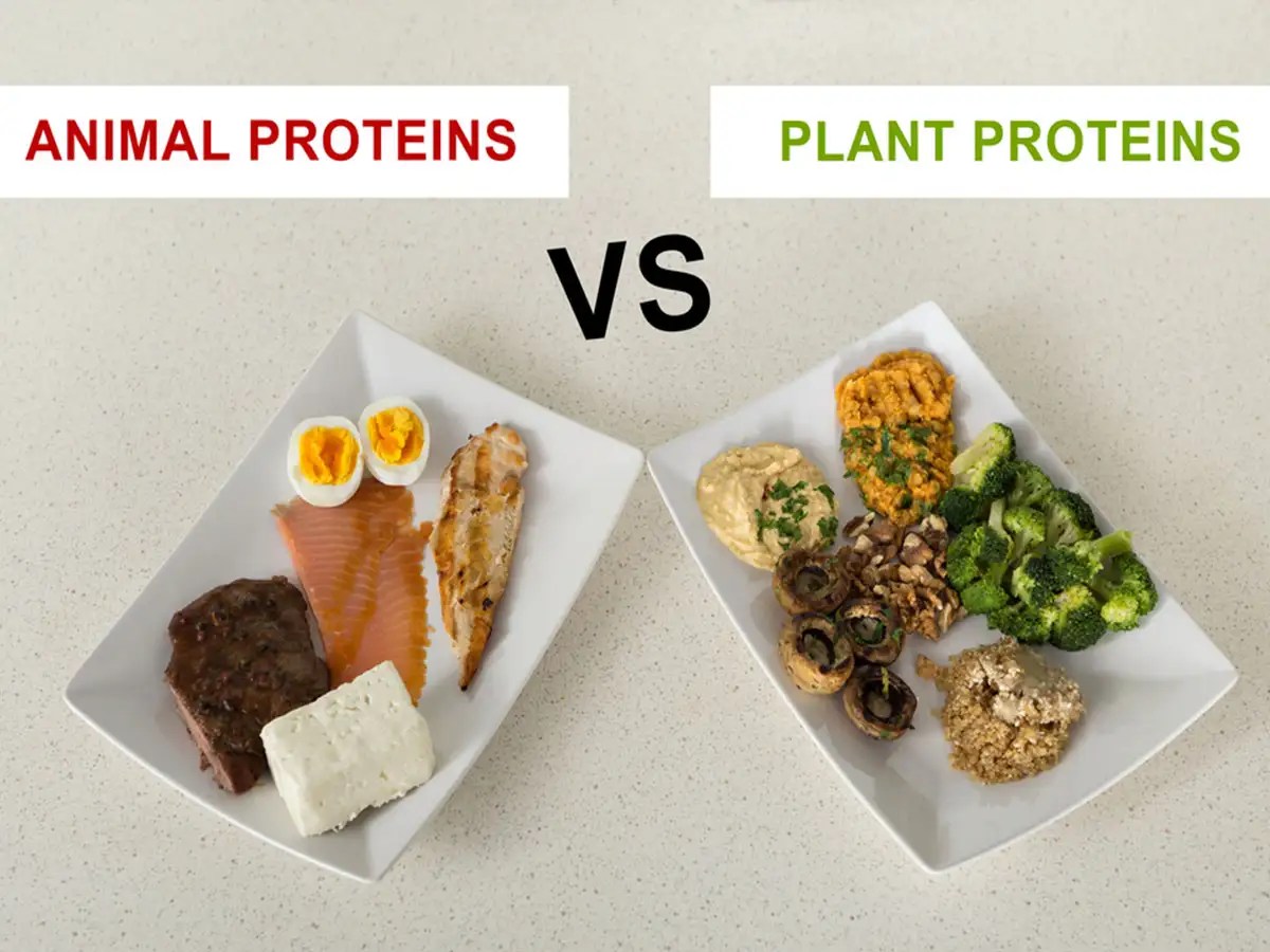Heart Health Tips Vegan Protein Source Is Healthier For