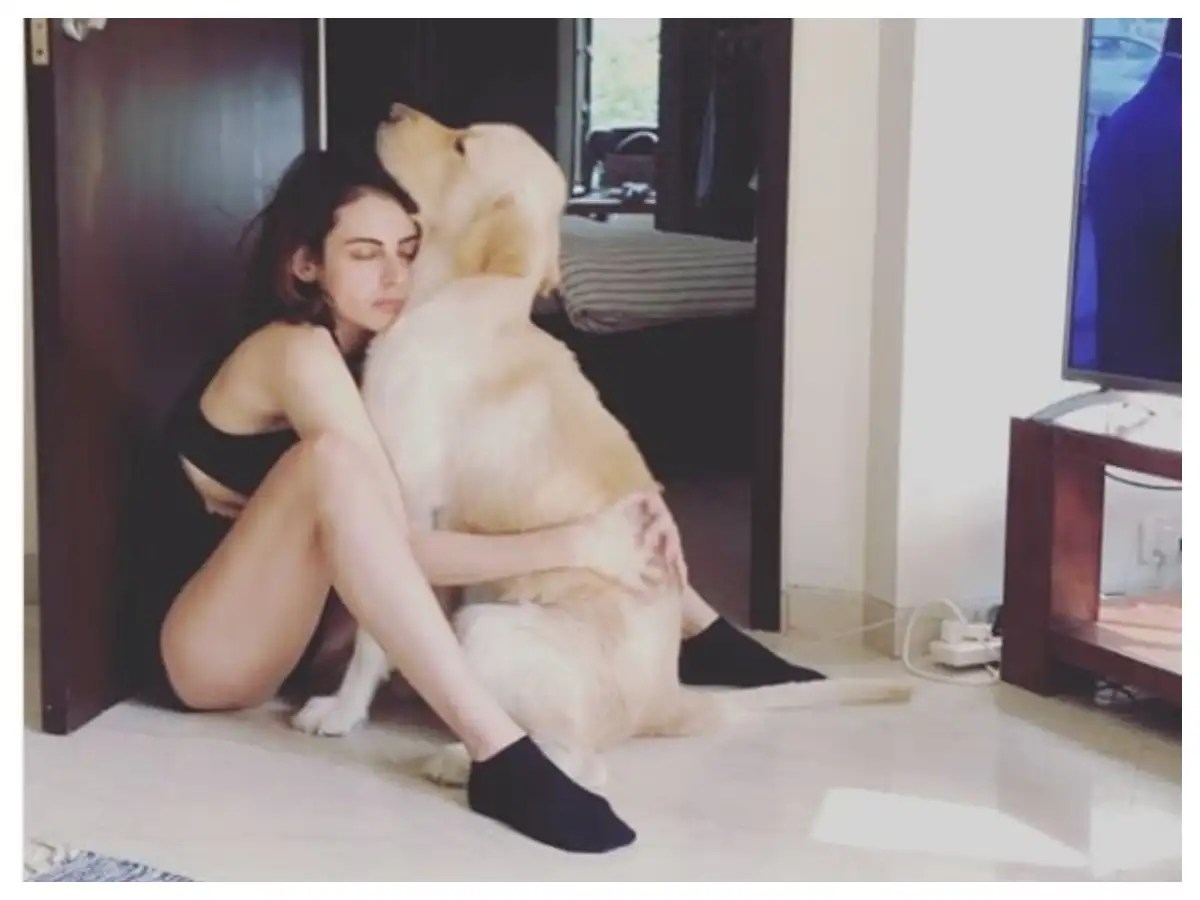 Mandana Karimi posts an endearing picture with her dog Elvis, gets trolled.