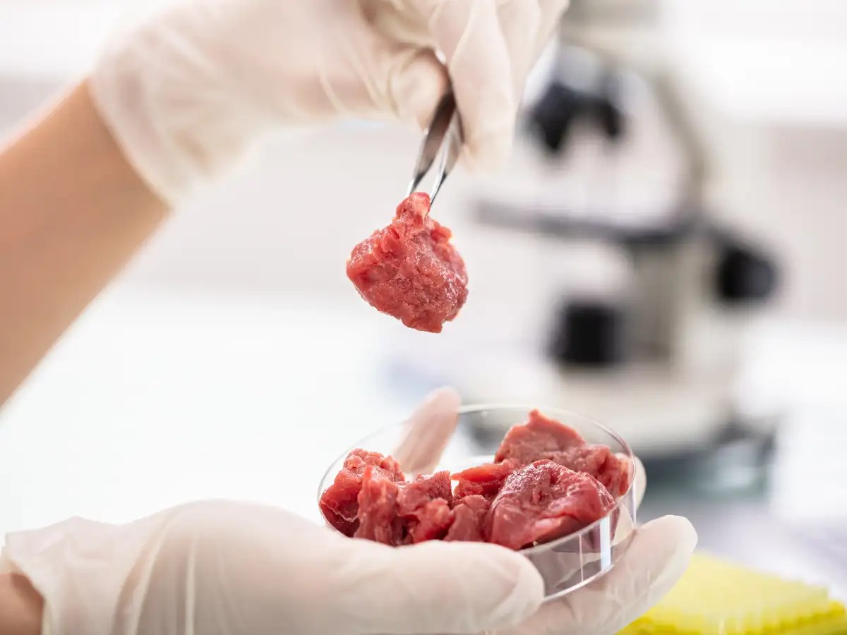 What Is Lab Grown Meat And Is It Healthy The Times Of India