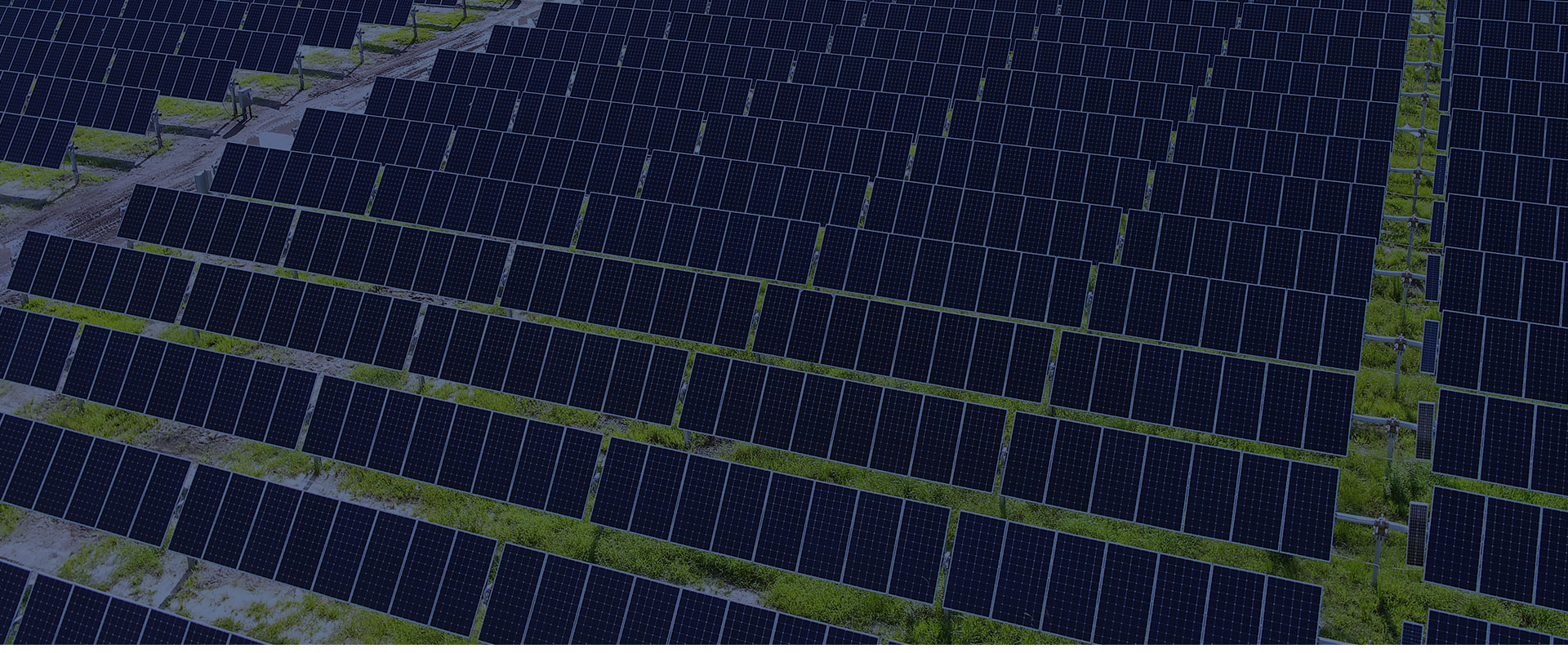 Trackers Vanguard de Trina Solar reciben la certificación europea de calidad IEC