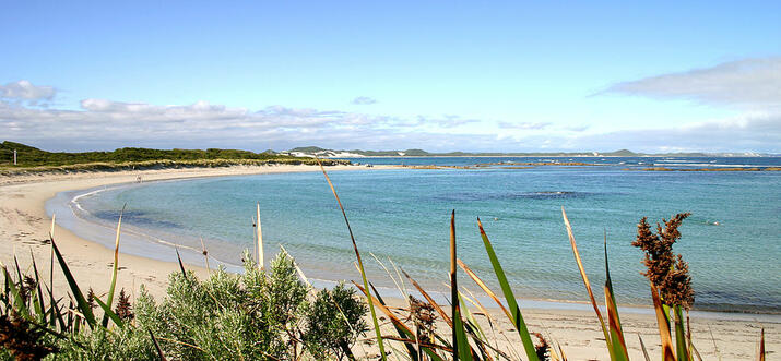 17 best things to do in denmark, australia