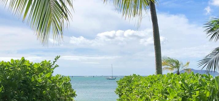 We’ve rounded up some additional advice as you research your upcoming boat purchase. Rent A Boat In Honolulu Hawaii Trip101