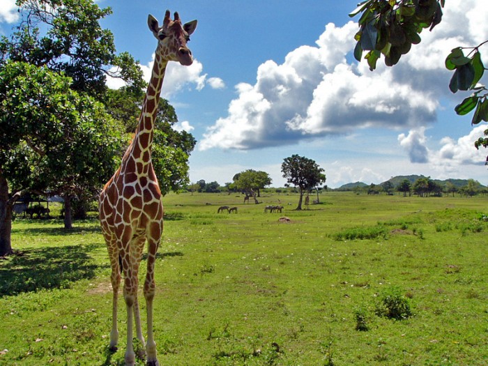 13 Amazing Places In The Philippines That Look Like Foreign