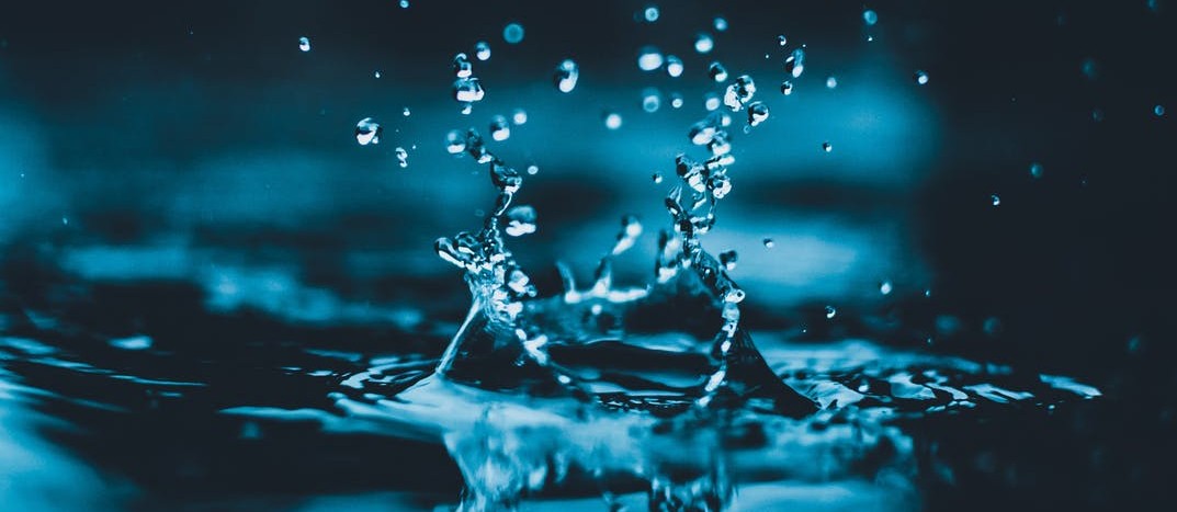 What chemical elements make up water?