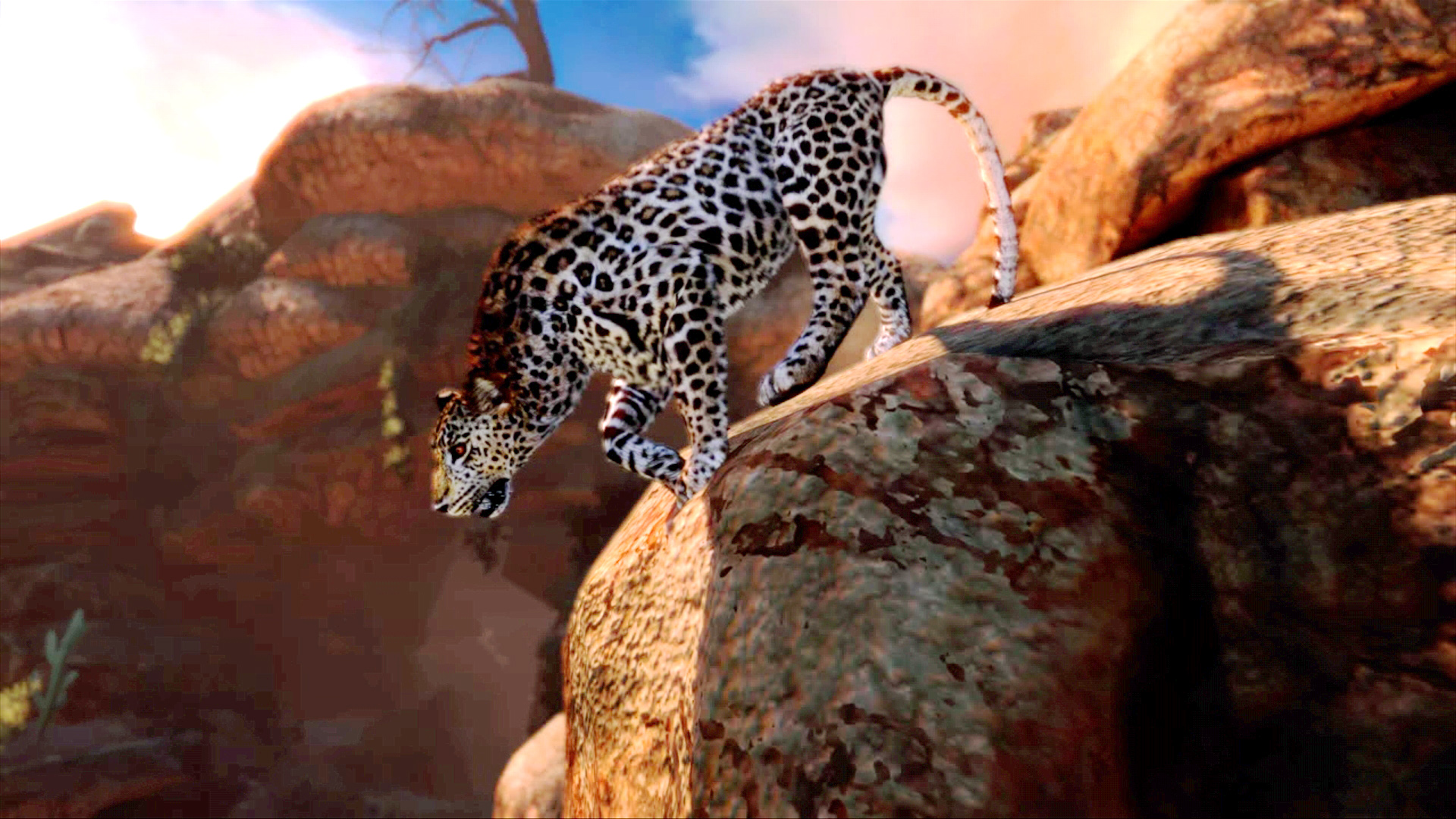 Stalking Cabela S African Adventure New Screens