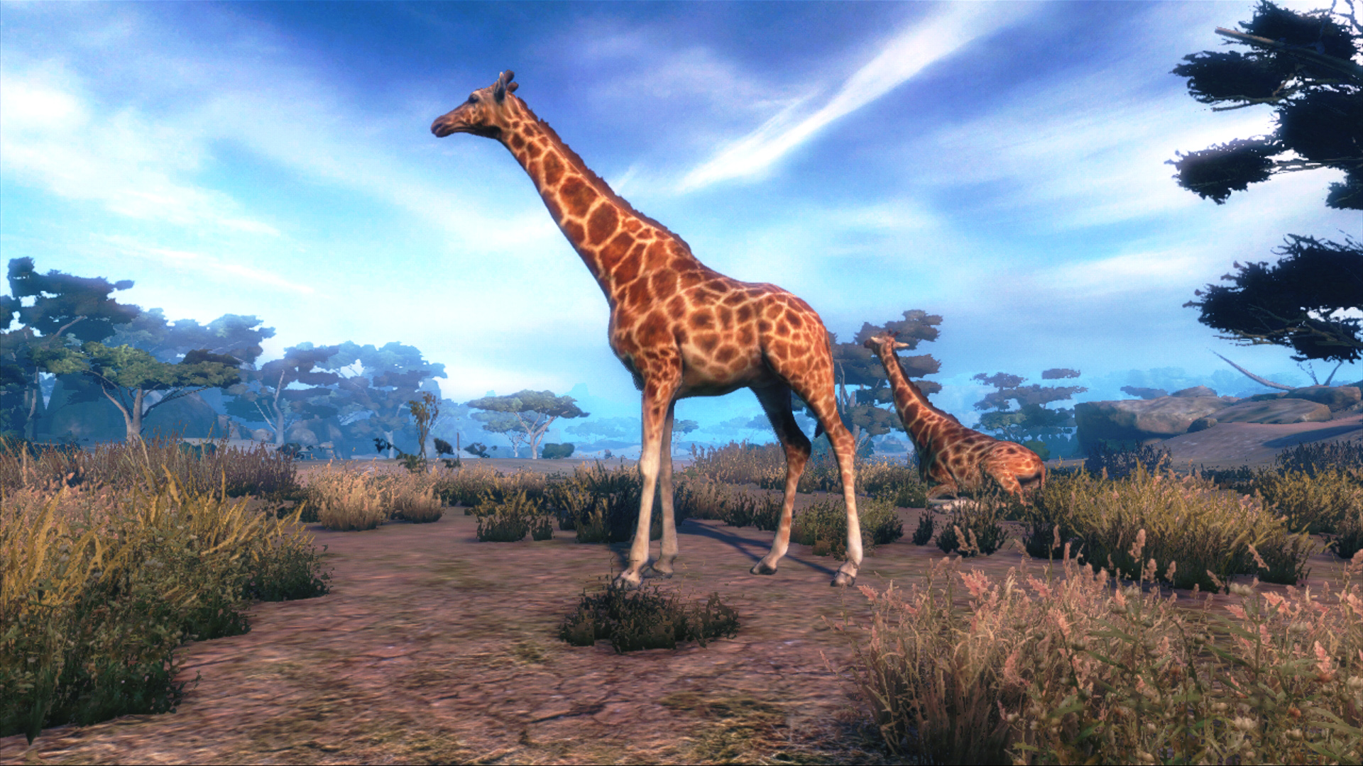 Stalking Cabela S African Adventure New Screens
