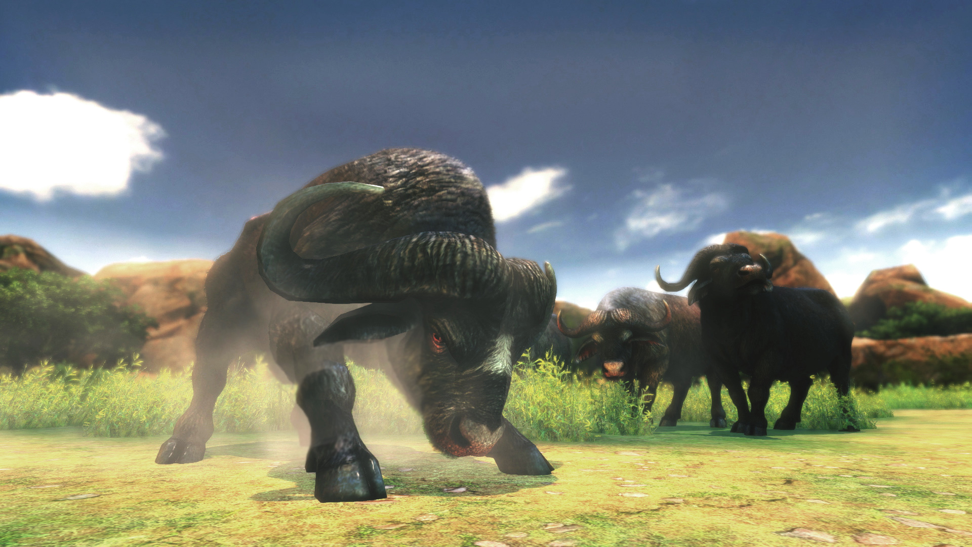 Stalking Cabela S African Adventure New Screens