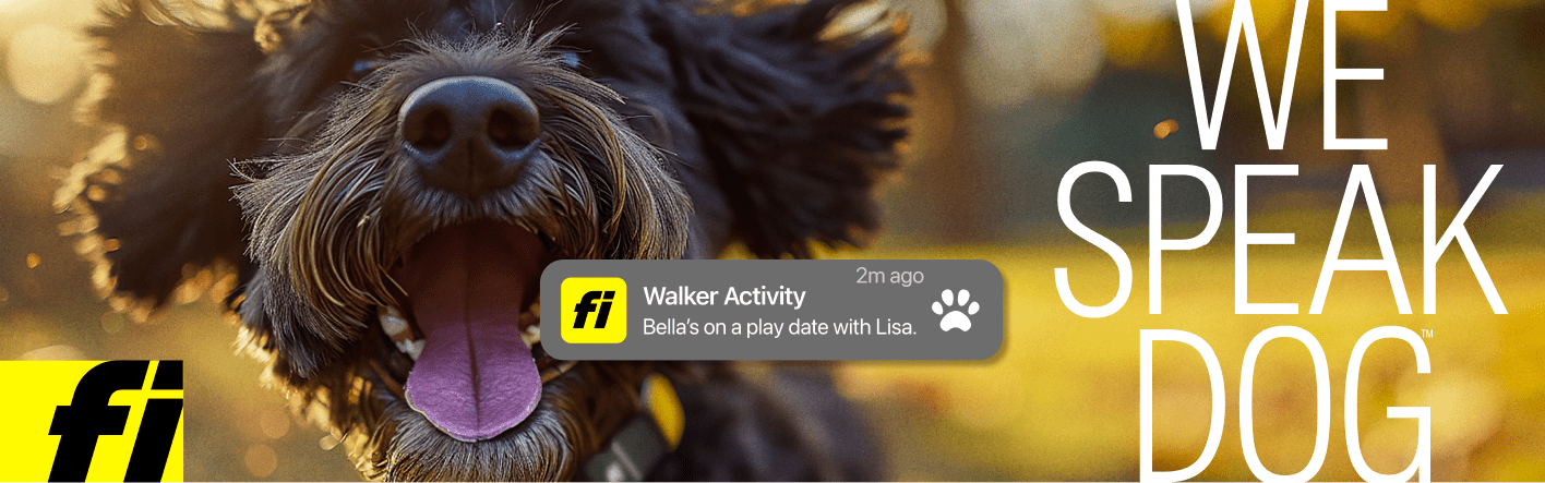 What to Do If Dog Eats Flea Collar: Urgent Steps!