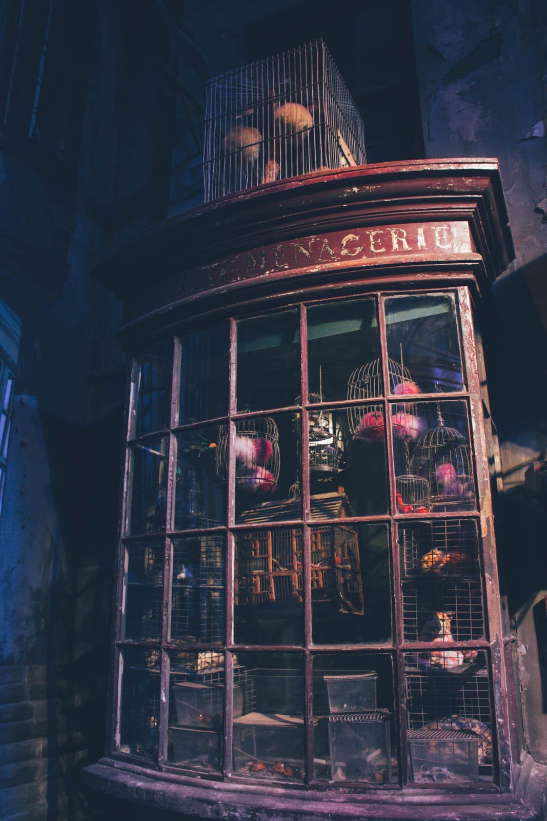 Hogwarts im Schnee Eine magische Reise zum HarryPotterDrehort