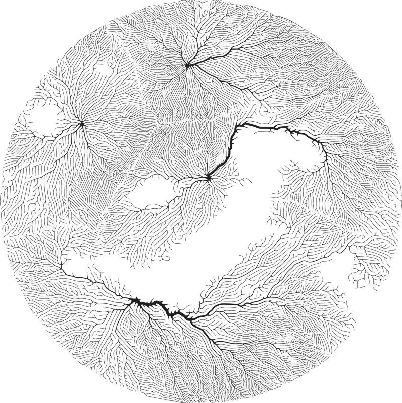 Big Data Visualization And Machine Learning Concept With Circle Line - Nature Art Collection - Mobile Quality