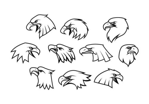 Eagle Head Free Vector Art 1 245 Free Downloads