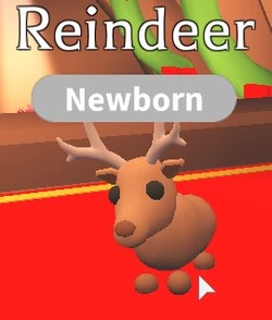 pic Neon Reindeer Adopt Me adopt me wiki fandom