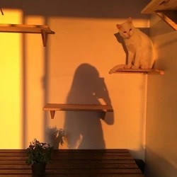 images Grunge Golden Hour Aesthetic golden hour aesthetics wiki fandom
