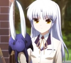 pic Kanade Tachibana Angel Beats Characters angel beats wiki fandom