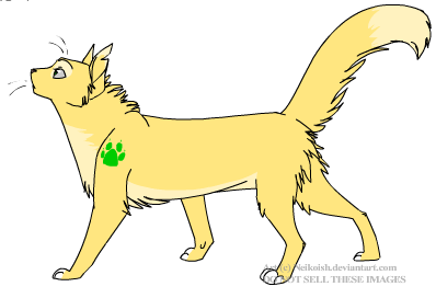 photo Warriors Fanart warriors fanart animaljam art wiki
