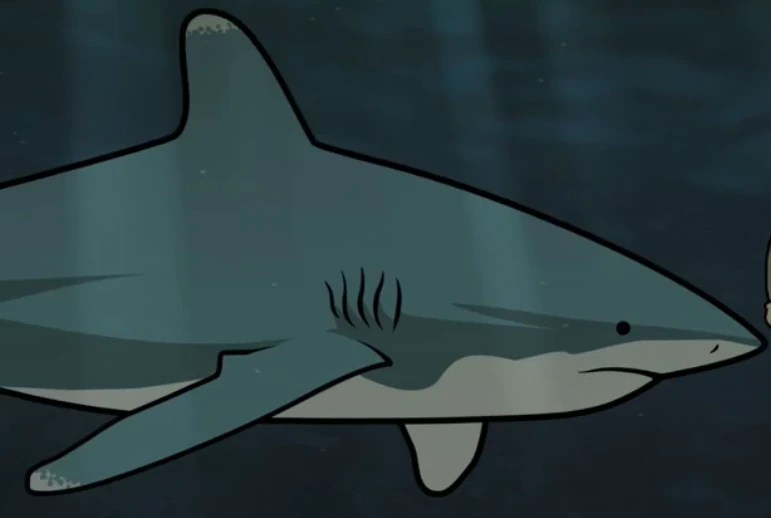 Thanks you for watching ❤️i hope my channel can help you to drawdon't forget to subscribe,like and shareboleh tolong like, share, . Shark Archer Wiki Fandom