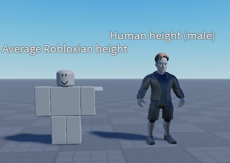 What Is The Height Of An Average Robloxian Fandom 755