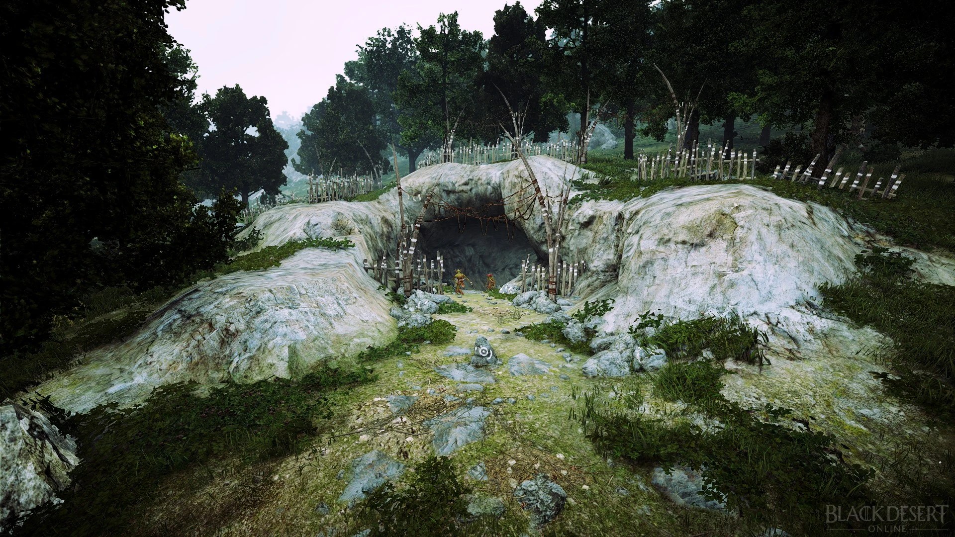 The cave is exited through a mud pile. Goblin Cave Black Desert Wiki Fandom