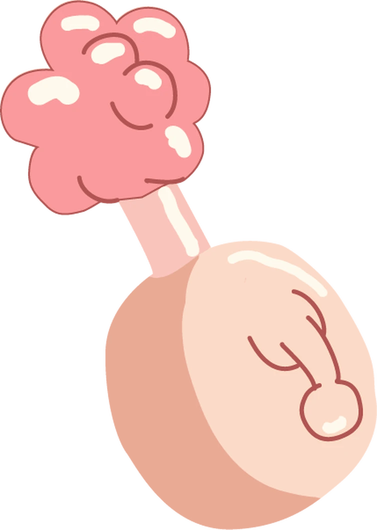Everyone has a plumbus in there home | Fandom