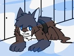 A folder containing the werewolf comic biils, by vonboche. Post Transfur Screens Changed Wiki Fandom