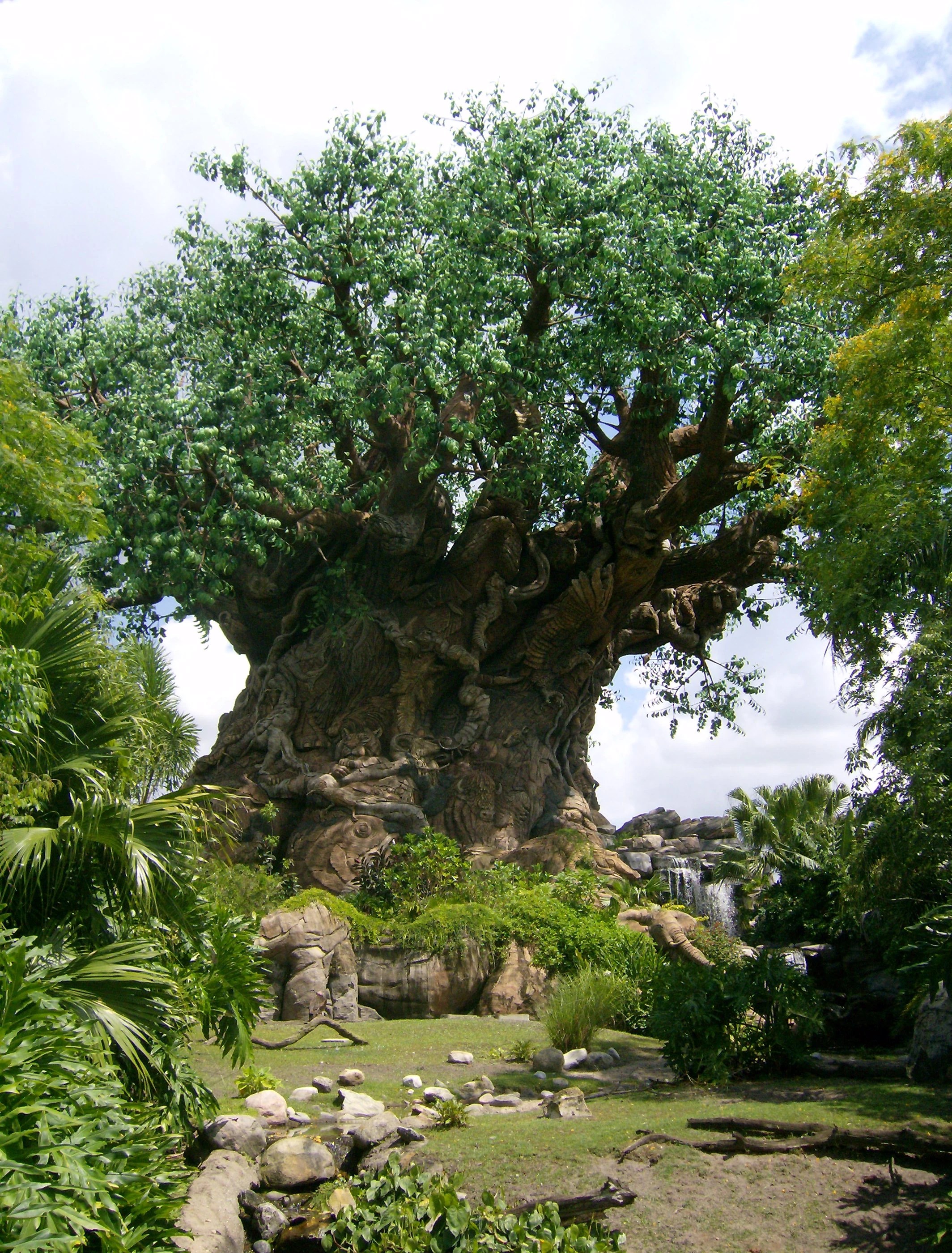 Arvore Da Vida Disney Wiki Fandom