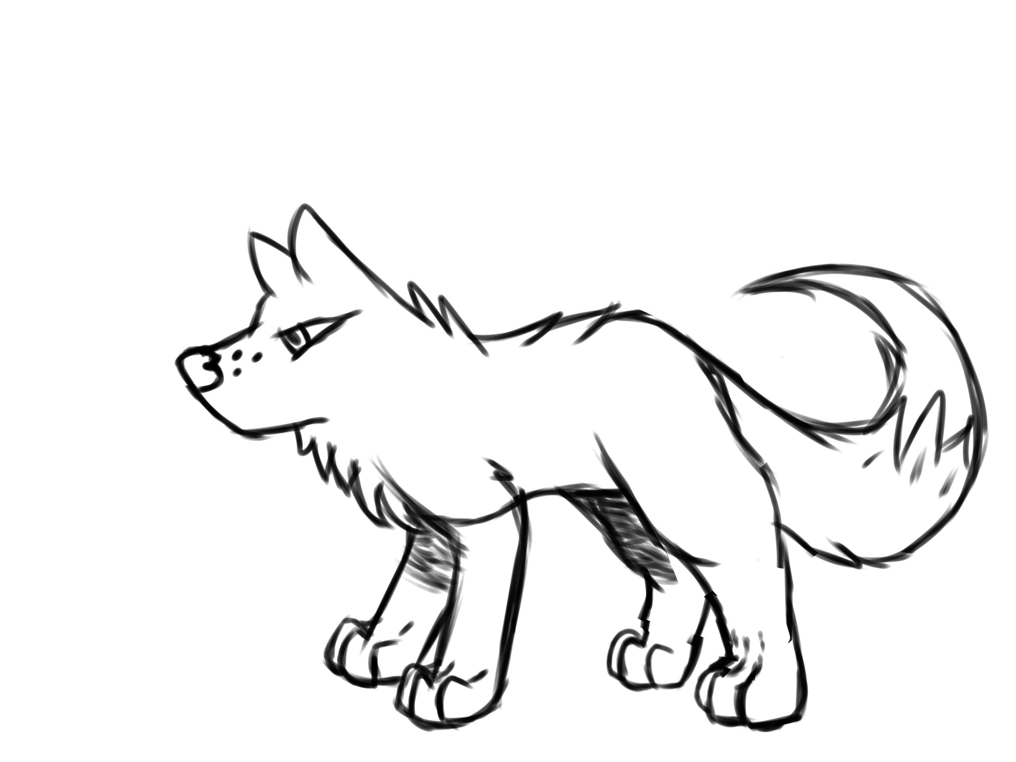 I started loving and drawing dragons ever since the first day . I M Kinda Proud Update On The Dragon Wolf Thing Drawing Aaaaaaaaaaaaaaaaaaaaa Fandom