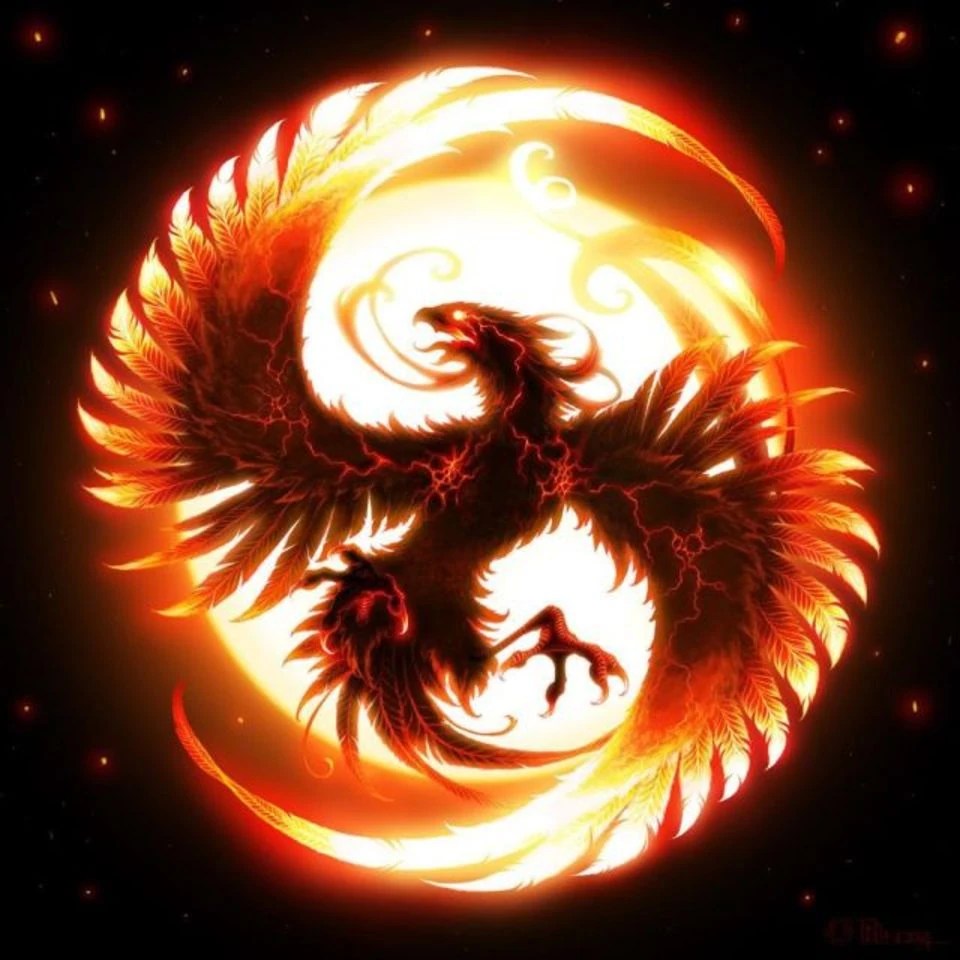 pic Flame Fire Fairy Tail Logo combustion phoenix slayer magic fairy