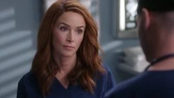 Abigail spencer was introduced during grey's anatomy season 14 as dr owen hunt's (played by kevin mckidd) sister megan hunt. Megan Hunt Grey S Anatomy Universe Wiki Fandom