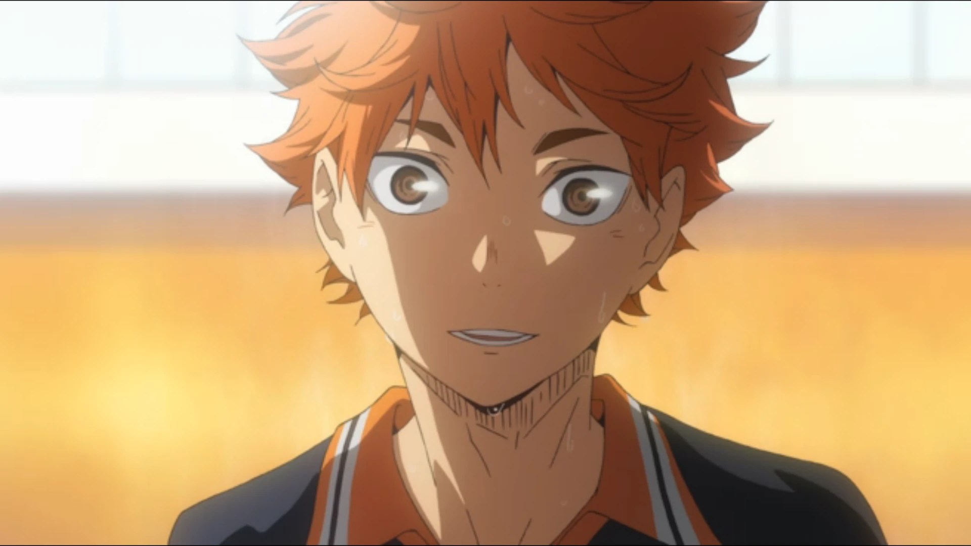 pic Shoyo Hinata shÅyÅ hinata haikyu wiki fandom