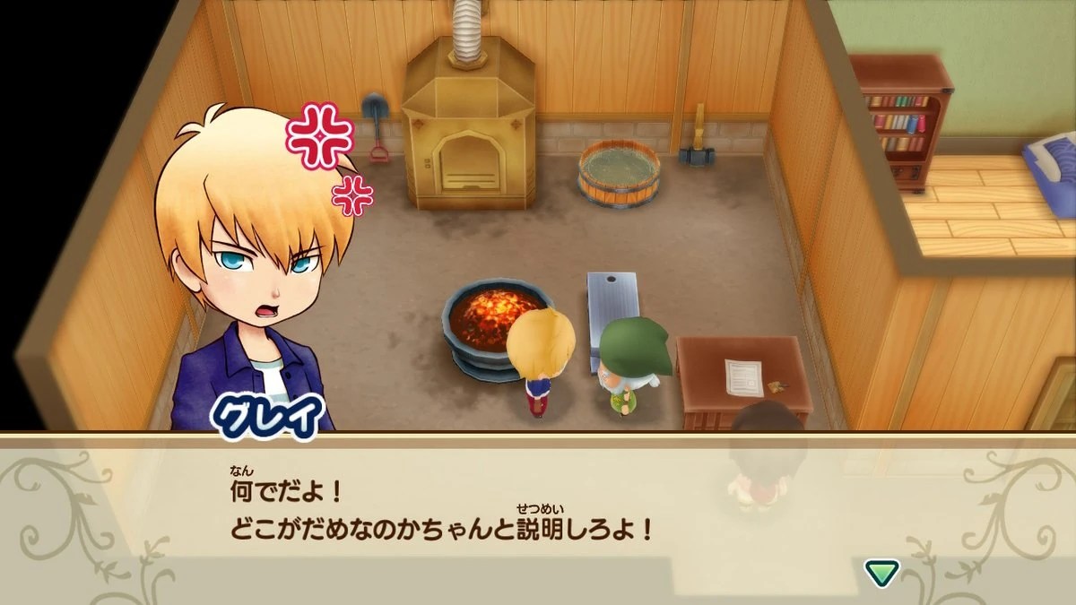 picture Harvest Moon Wiki villa aurora