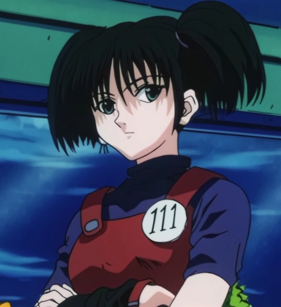 picture 1999 Hxh Characters anita hunterpedia fandom
