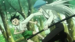 pix Kite And Gon And Killua kite hunterpedia fandom